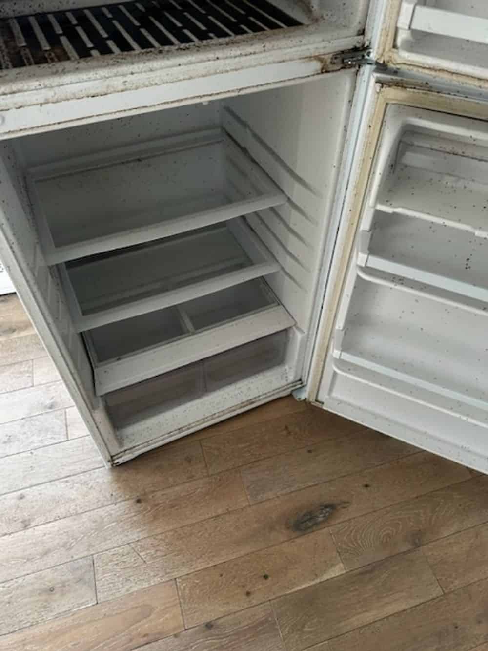 Deep Cleaning image
